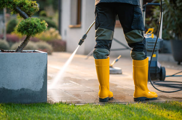 Best Exterior Home Cleaning  in Bonsall, CA
